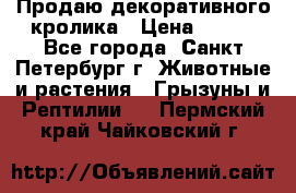 Продаю декоративного кролика › Цена ­ 500 - Все города, Санкт-Петербург г. Животные и растения » Грызуны и Рептилии   . Пермский край,Чайковский г.